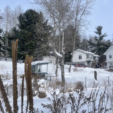 72DB0164-CEAE-496F-8F25-60499C7B5DA1